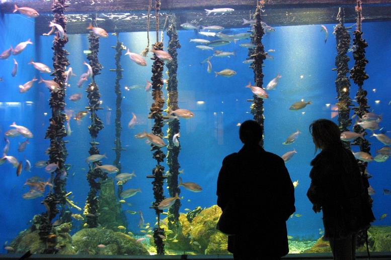Visita ao Aquarium da Coruña